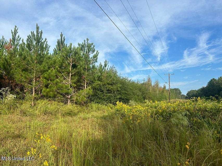 6 Acres of Land for Sale in Summit, Mississippi