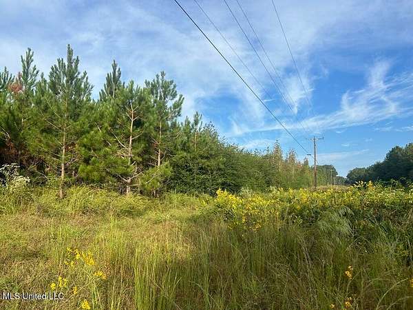 6 Acres of Land for Sale in Summit, Mississippi
