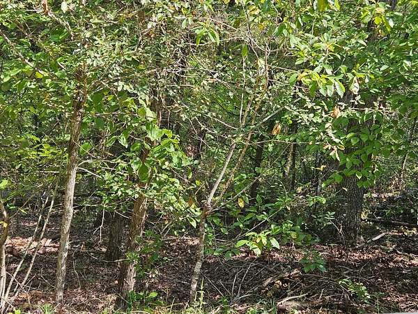 0.15 Acres of Residential Land for Sale in Theodosia, Missouri