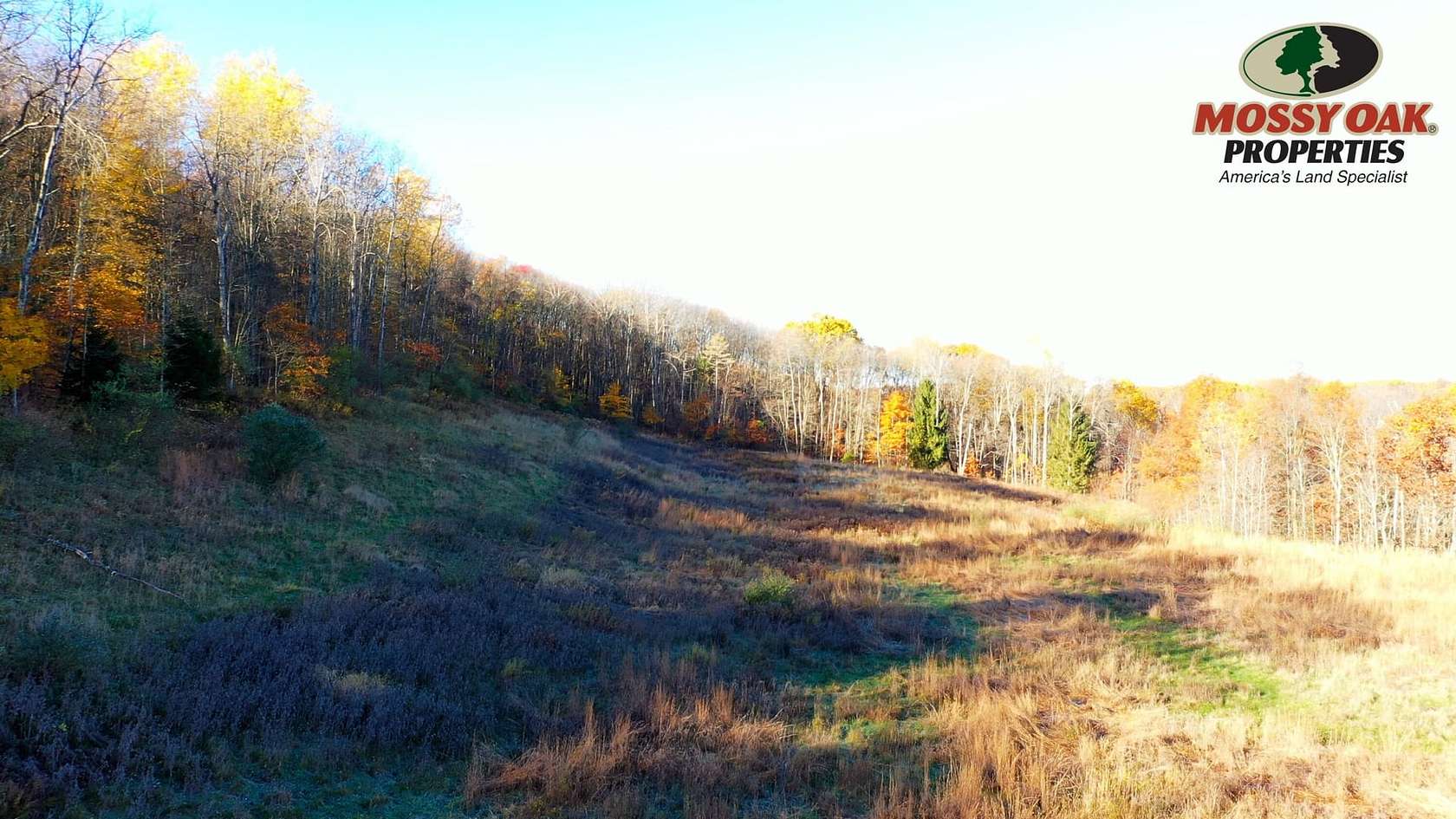 29 Acres of Land for Sale in Ellwood City, Pennsylvania