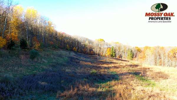 29 Acres of Land for Sale in Ellwood City, Pennsylvania