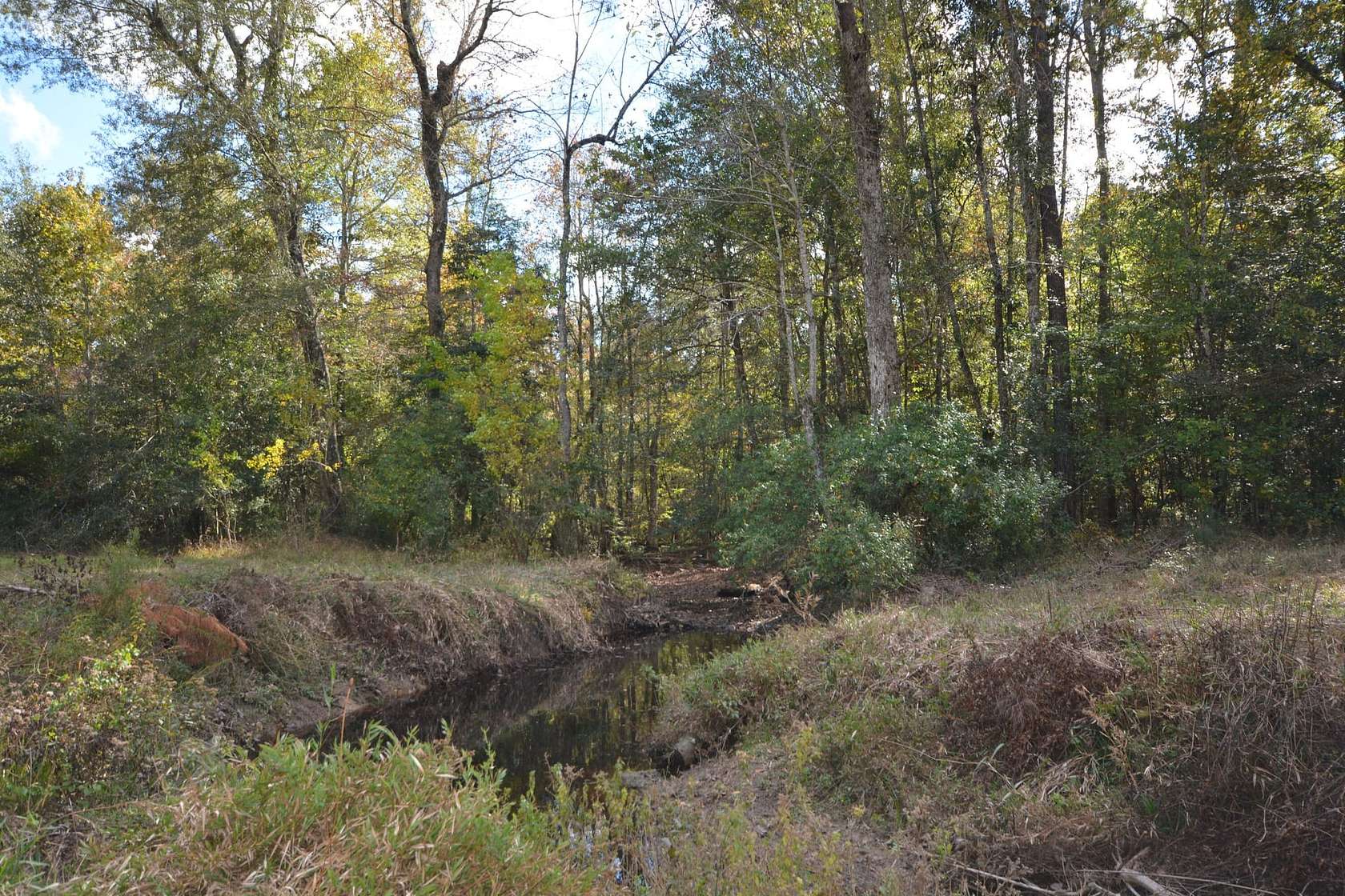 15.8 Acres of Recreational Land for Sale in Kirbyville, Texas