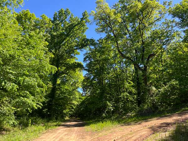 10 Acres of Recreational Land & Farm for Sale in Moyers, Oklahoma