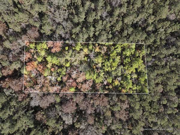 1 Acre of Land for Sale in McLain, Mississippi