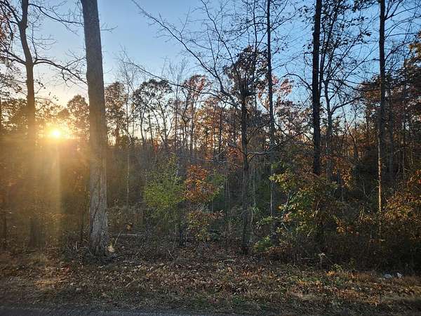 5 Acres of Land for Sale in Springville, Tennessee