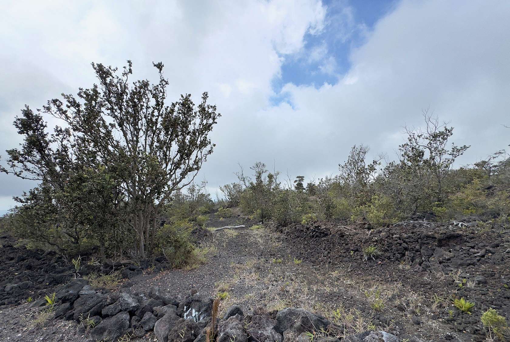 1 Acre of Land for Sale in Hawaiian Ocean View, Hawaii