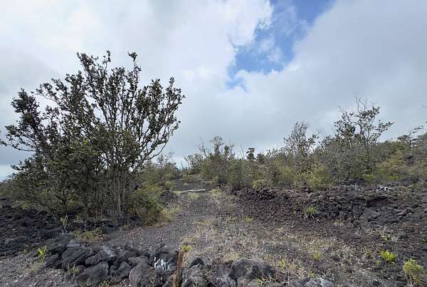 1 Acre of Land for Sale in Hawaiian Ocean View, Hawaii