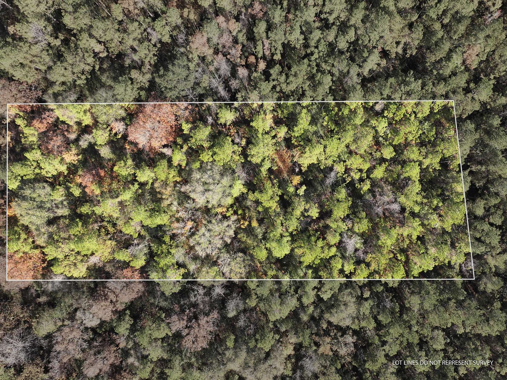 1 Acre of Residential Land for Sale in McLain, Mississippi