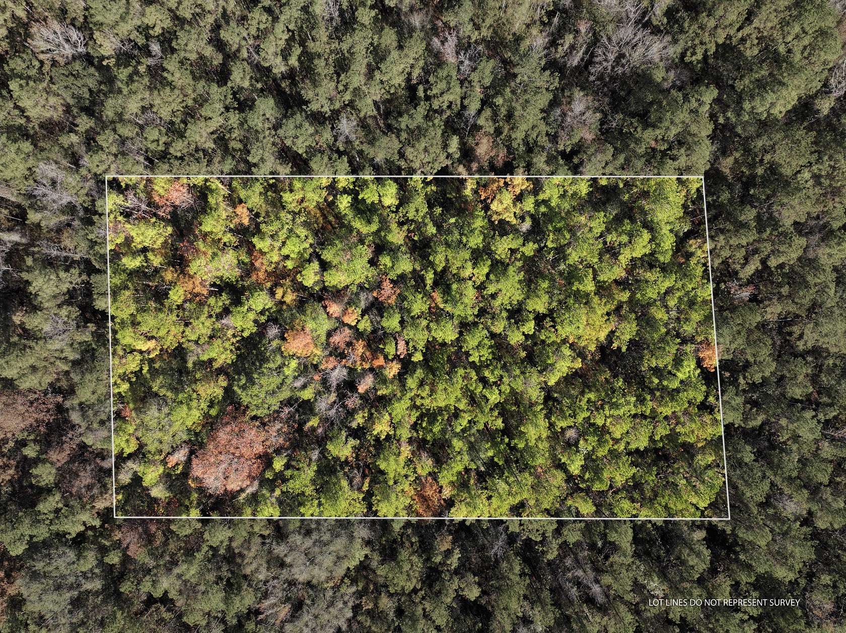 1 Acre of Residential Land for Sale in McLain, Mississippi