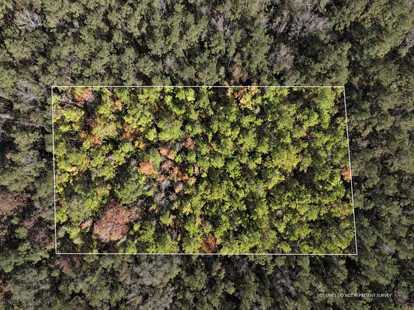 1 Acre of Land for Sale in McLain, Mississippi