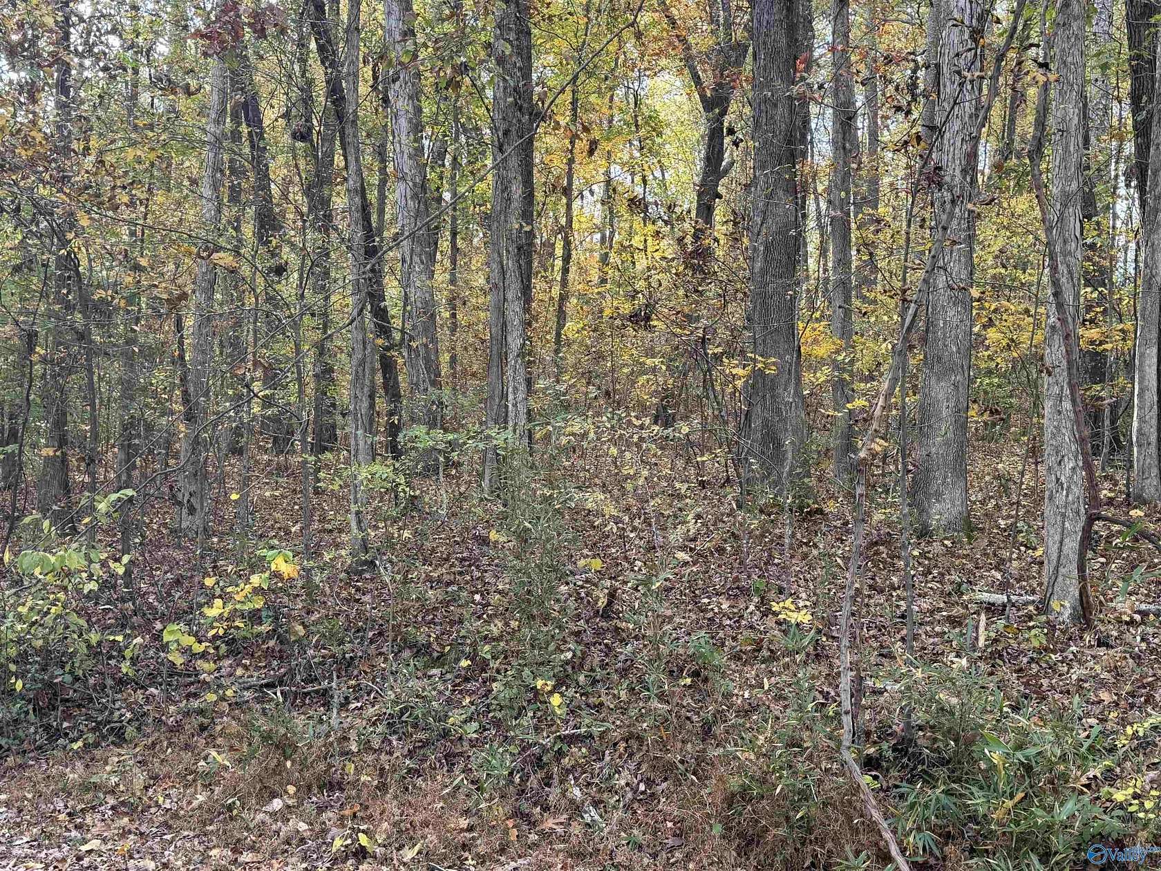 1.69 Acres of Residential Land for Sale in Decatur, Alabama
