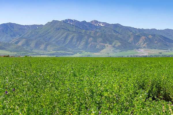 10 Acres of Land for Sale in Wellsville, Utah