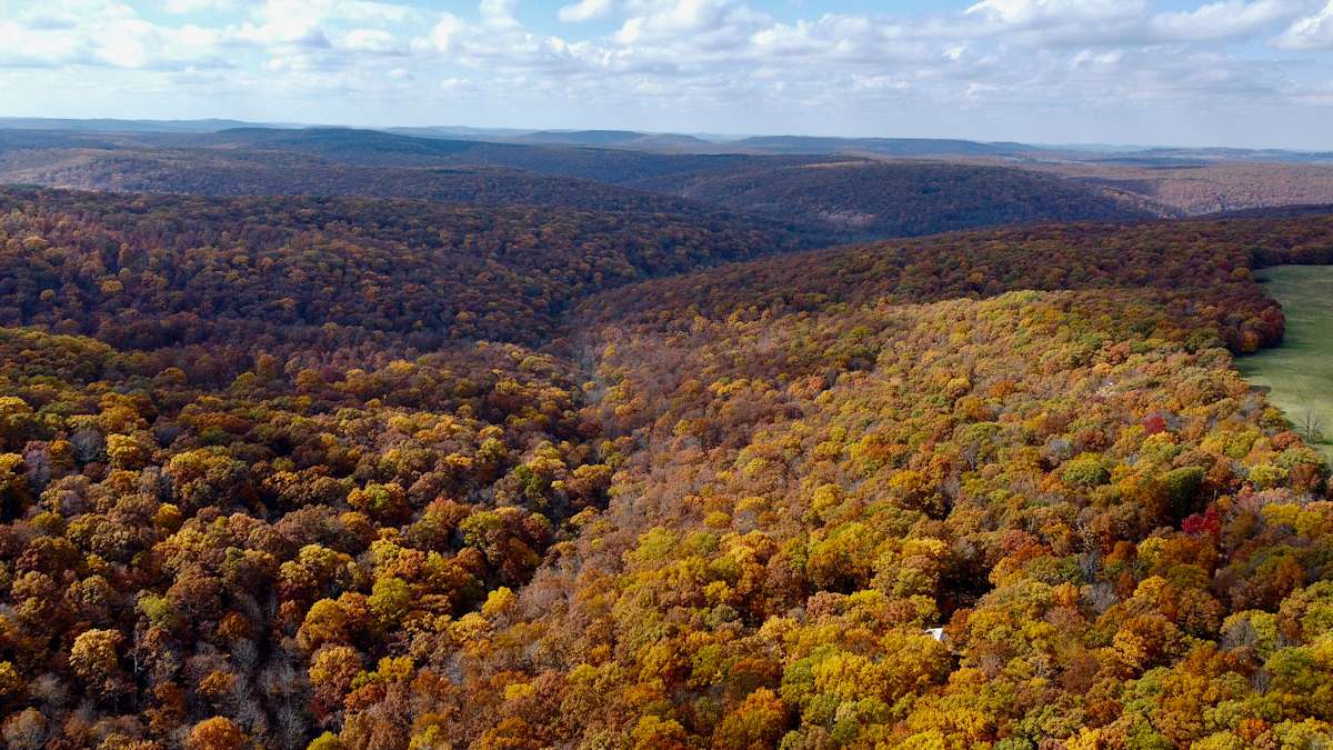 10 Acres of Recreational Land for Sale in Kingston, Arkansas