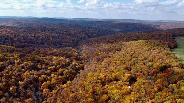 10 Acres of Recreational Land for Sale in Kingston, Arkansas