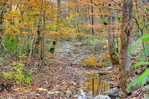 38.7 Acres of Recreational Land for Sale in Westmoreland, Tennessee