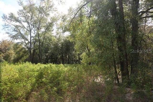 Land for Sale in Ocala, Florida