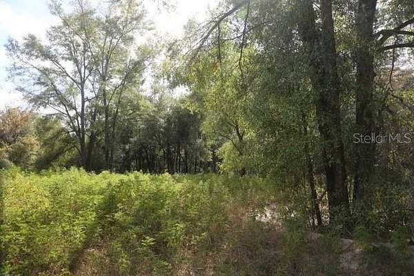Land for Sale in Ocala, Florida