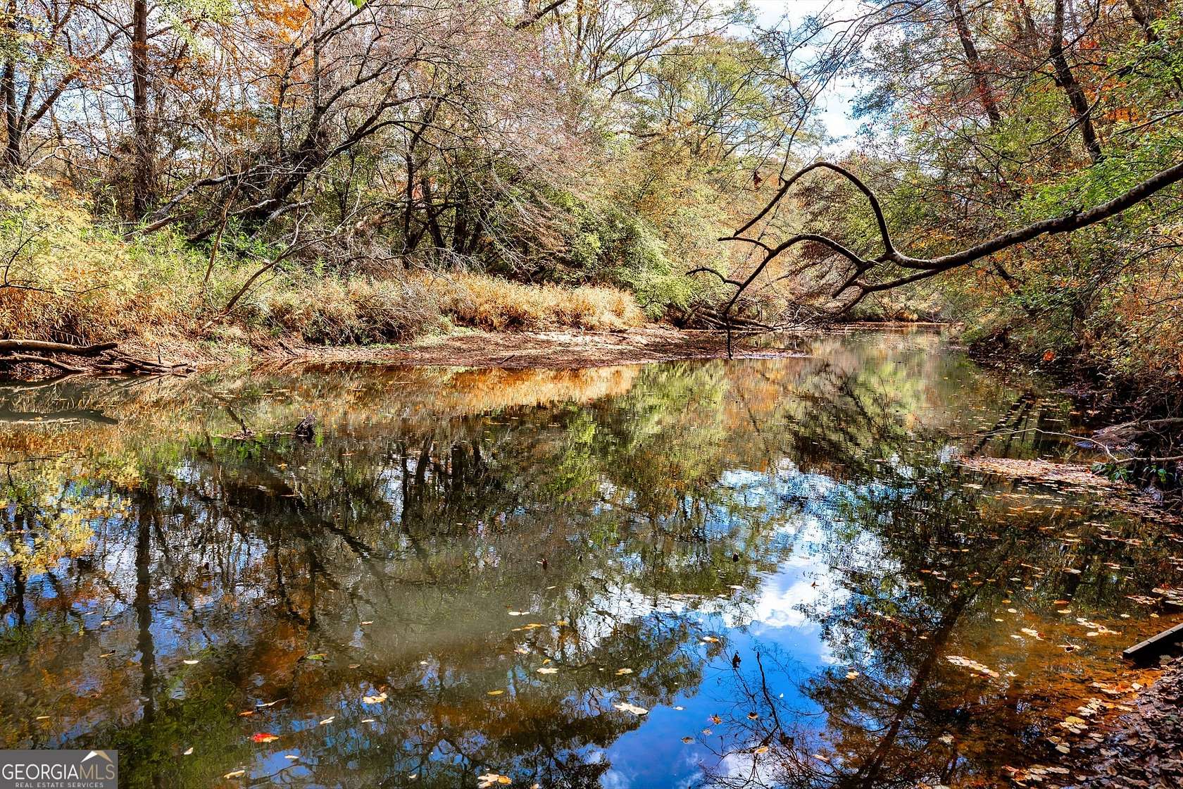 47 Acres of Agricultural Land for Sale in Senoia, Georgia