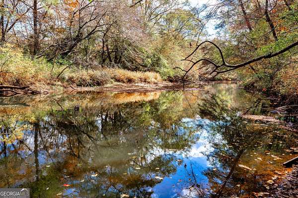 47 Acres of Agricultural Land for Sale in Senoia, Georgia