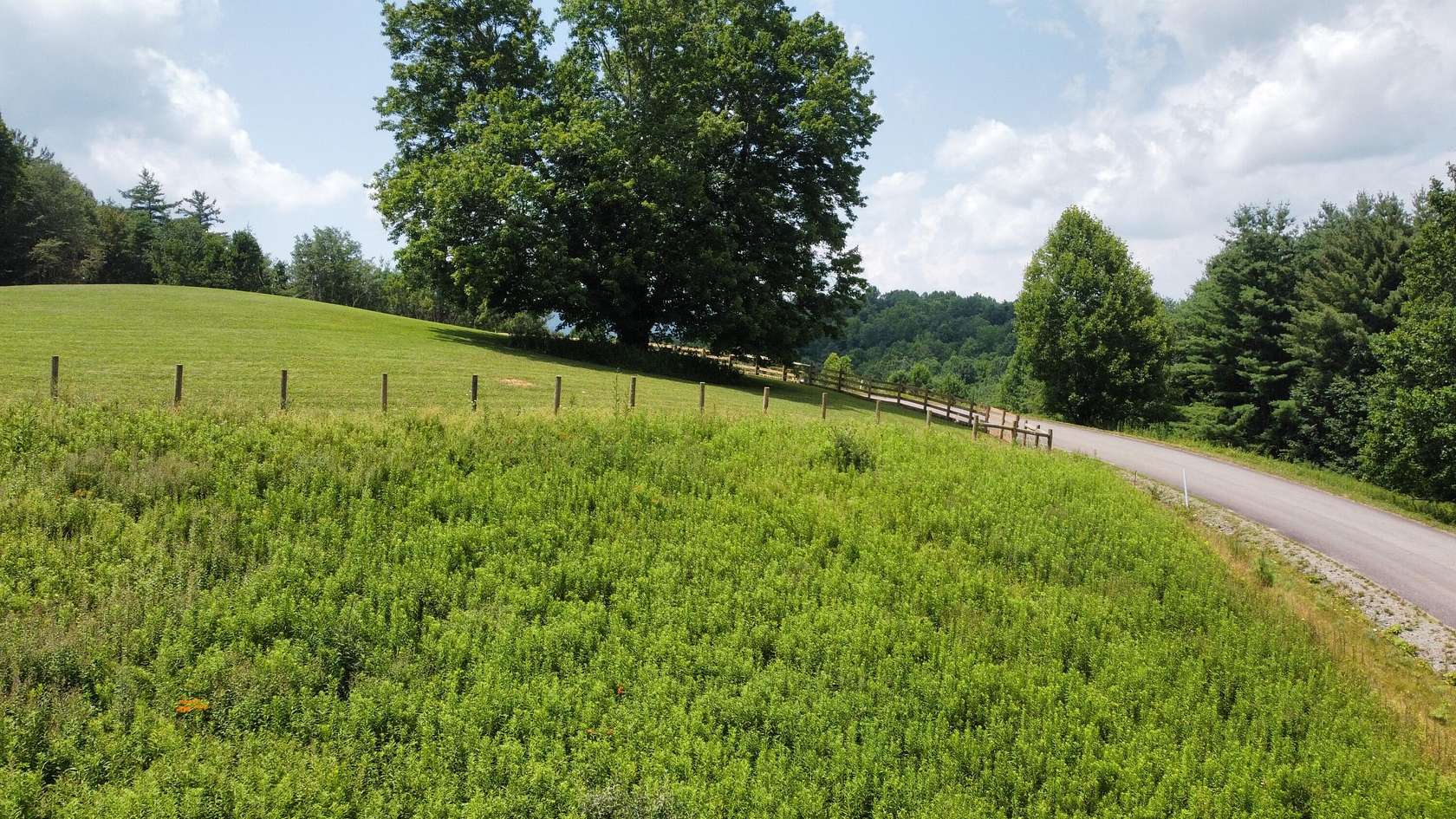 1.25 Acres of Residential Land for Sale in Mountain City, Tennessee