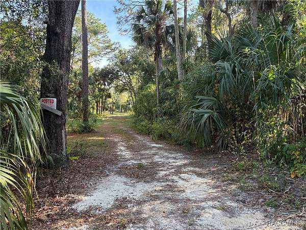 20.4 Acres of Recreational Land for Sale in Homosassa, Florida