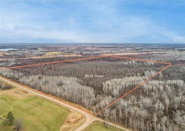 80 Acres of Recreational Land for Sale in Spalding Township, Minnesota