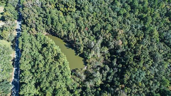 19 Acres of Agricultural Land for Sale in Tallahassee, Florida