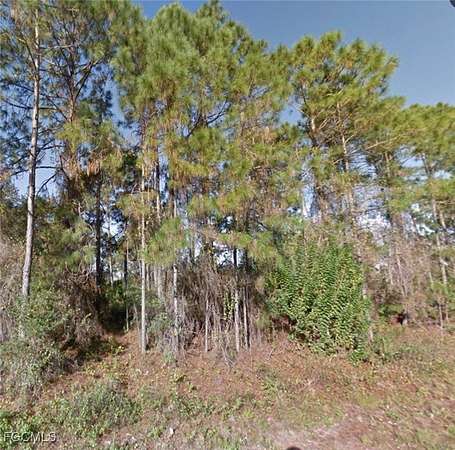0.23 Acres of Residential Land for Sale in Lehigh Acres, Florida