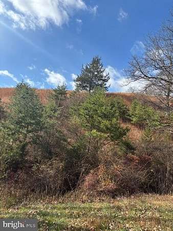 9.74 Acres of Land for Sale in Baker, West Virginia