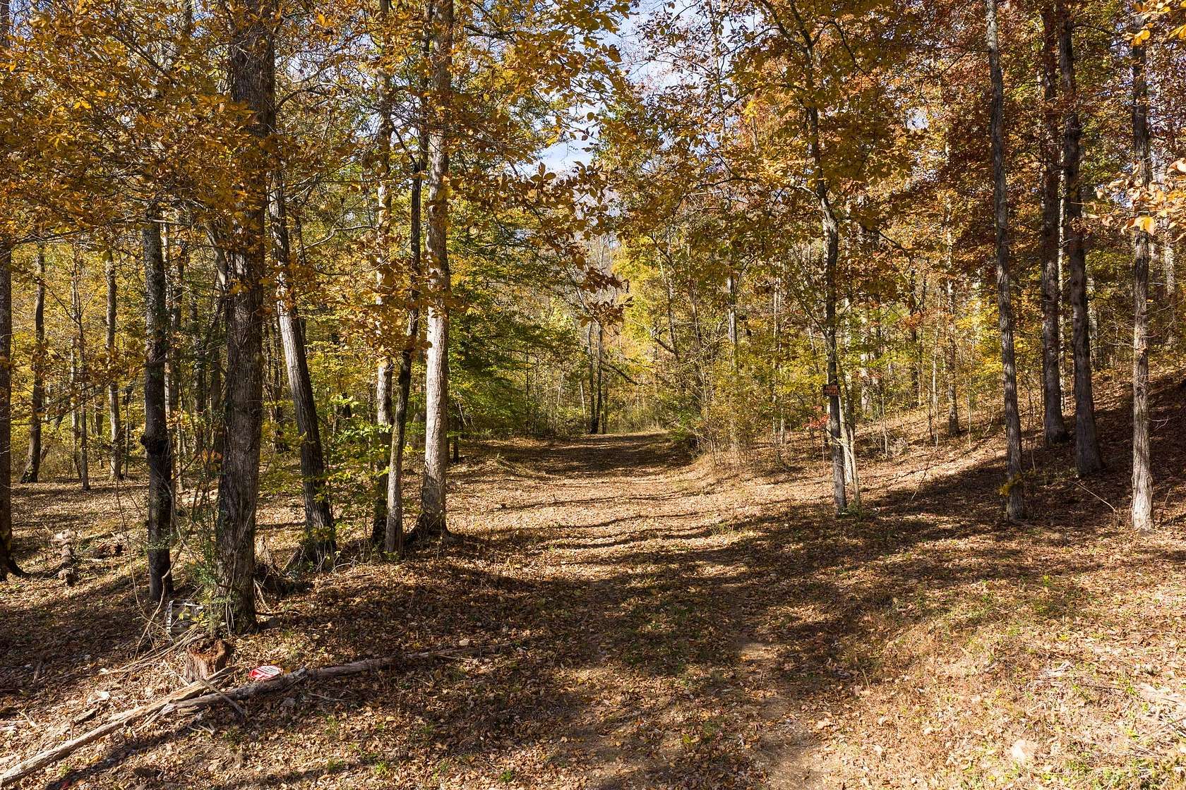 97.3 Acres of Land for Sale in Dickson, Tennessee