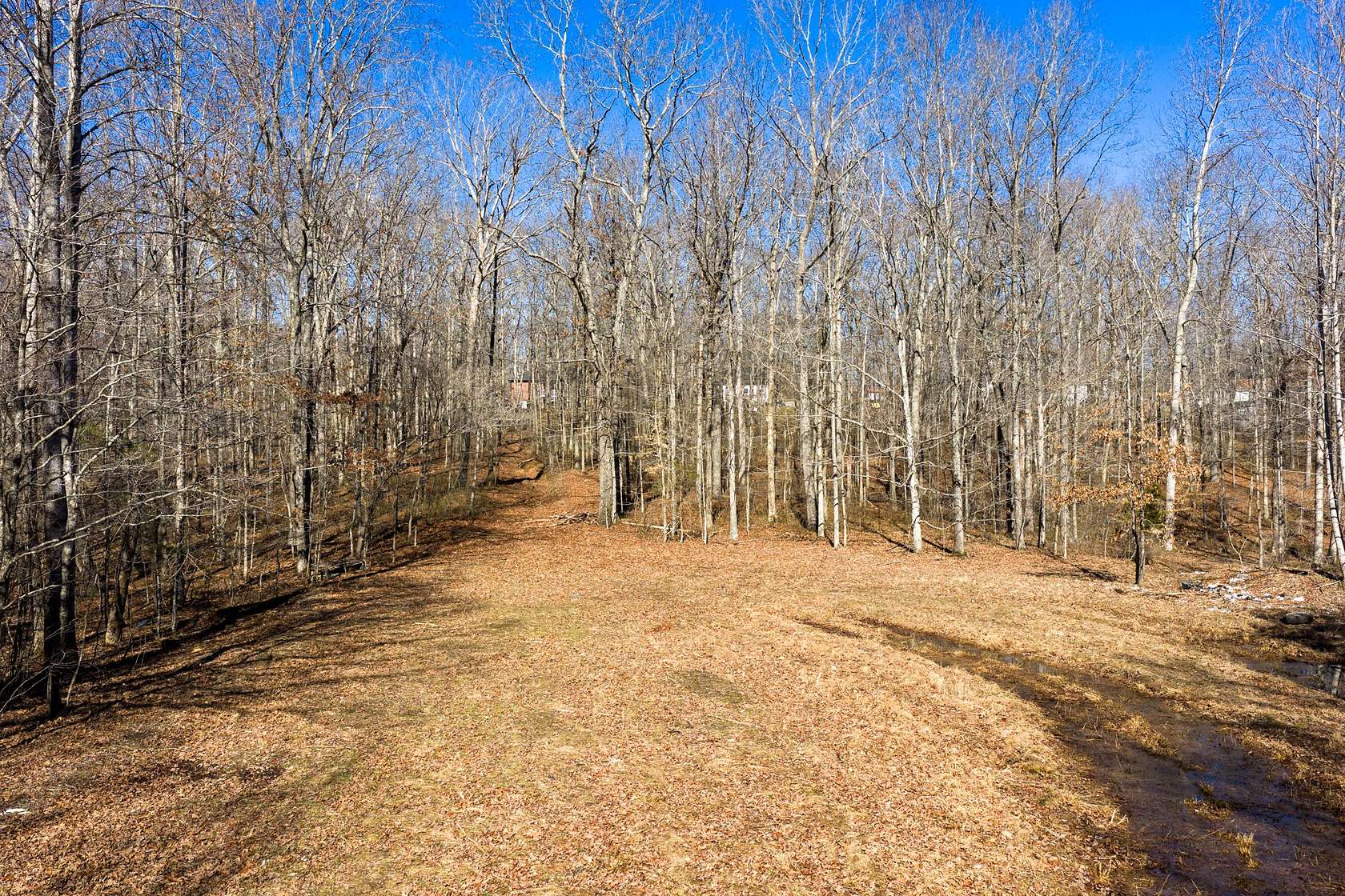 97.3 Acres of Land for Sale in Dickson, Tennessee