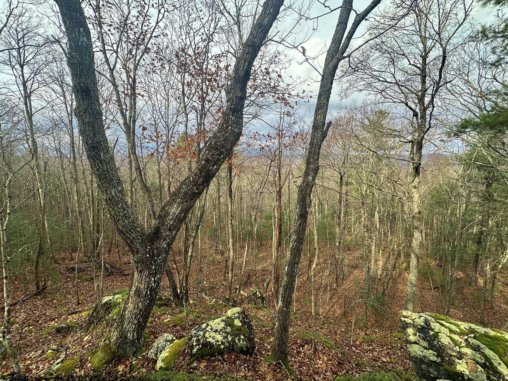 10 Acres of Land for Sale in Gap Mills, West Virginia