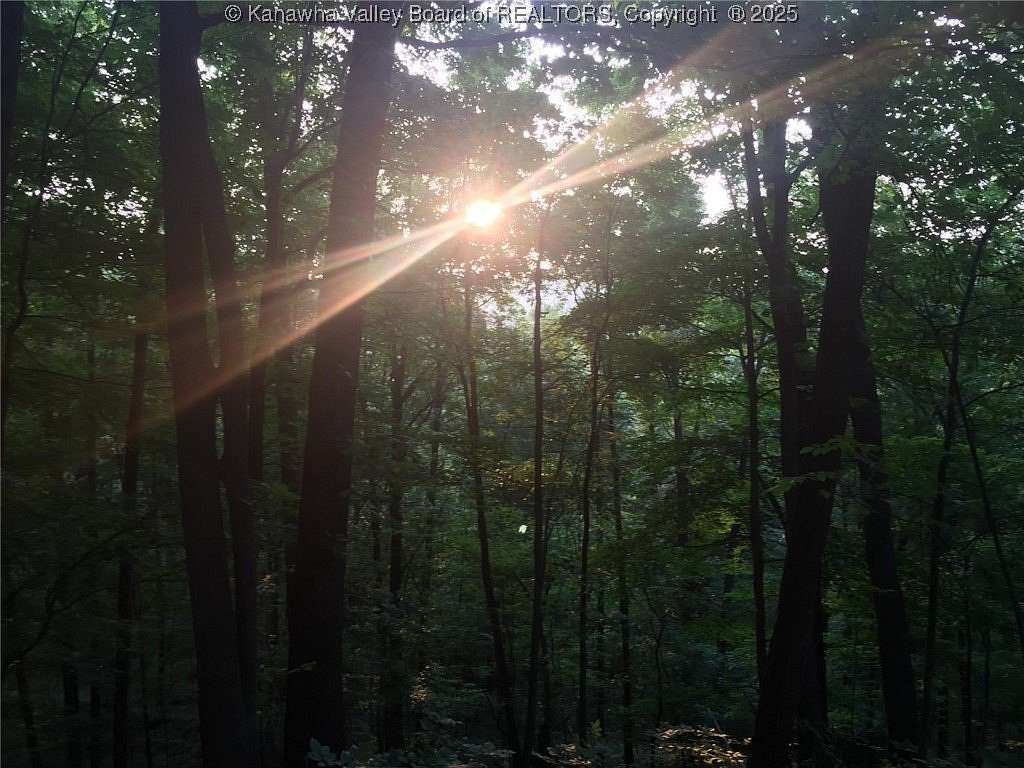 32.5 Acres of Recreational Land for Sale in Ravenswood, West Virginia