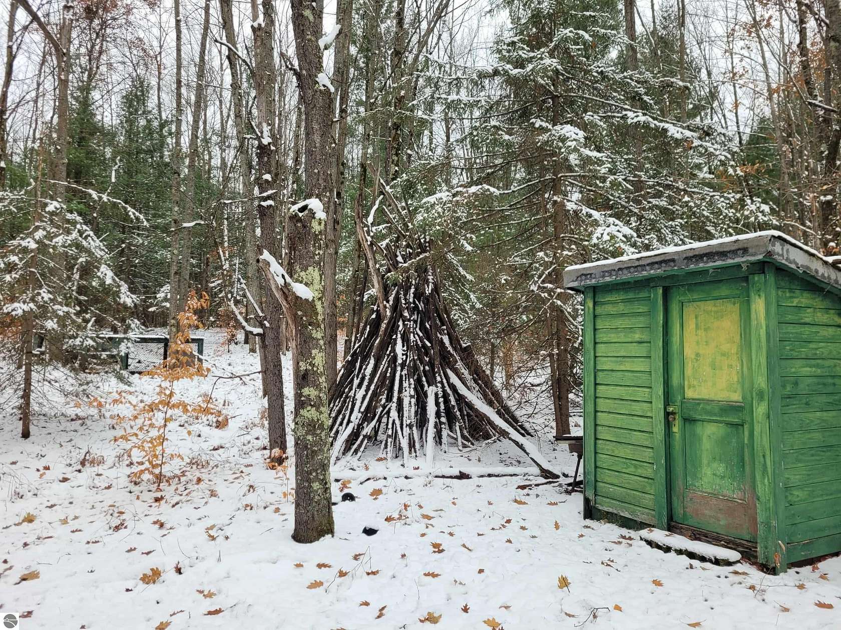 9.66 Acres of Land for Sale in Mesick, Michigan