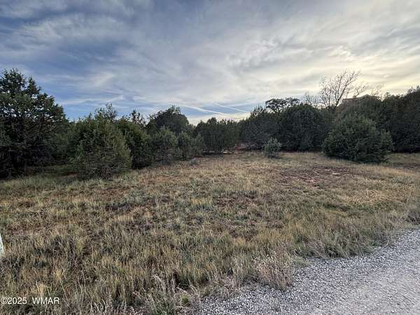 2 Acres of Residential Land for Sale in Show Low, Arizona