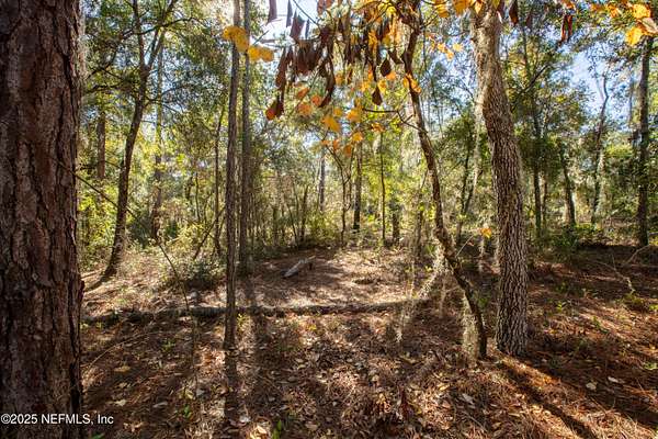 0.27 Acres of Residential Land for Sale in Florahome, Florida