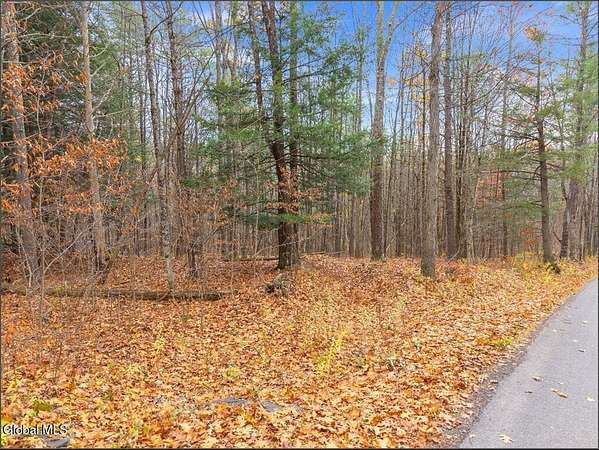 9.14 Acres of Residential Land for Sale in Middleburgh, New York