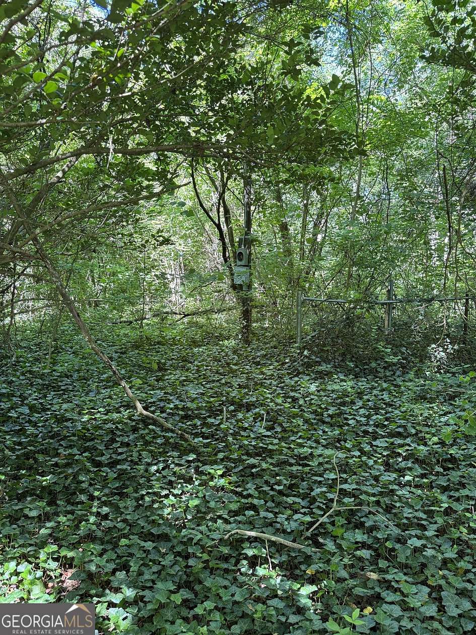 3 Acres of Land for Sale in Conyers, Georgia