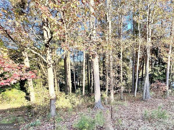 0.47 Acres of Residential Land for Sale in Douglasville, Georgia