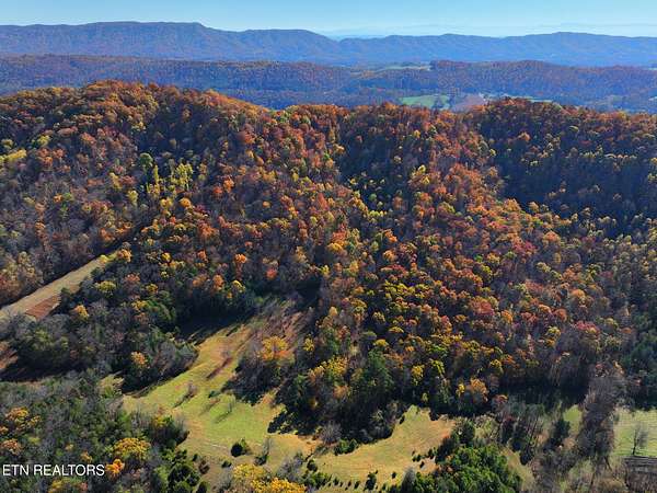 114 Acres of Recreational Land for Sale in Maynardville, Tennessee