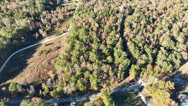 10.8 Acres of Land for Sale in Ashville, Alabama