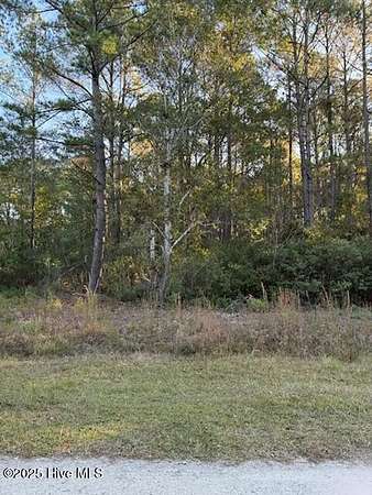 0.21 Acres of Residential Land for Sale in Ocean Isle Beach, North Carolina