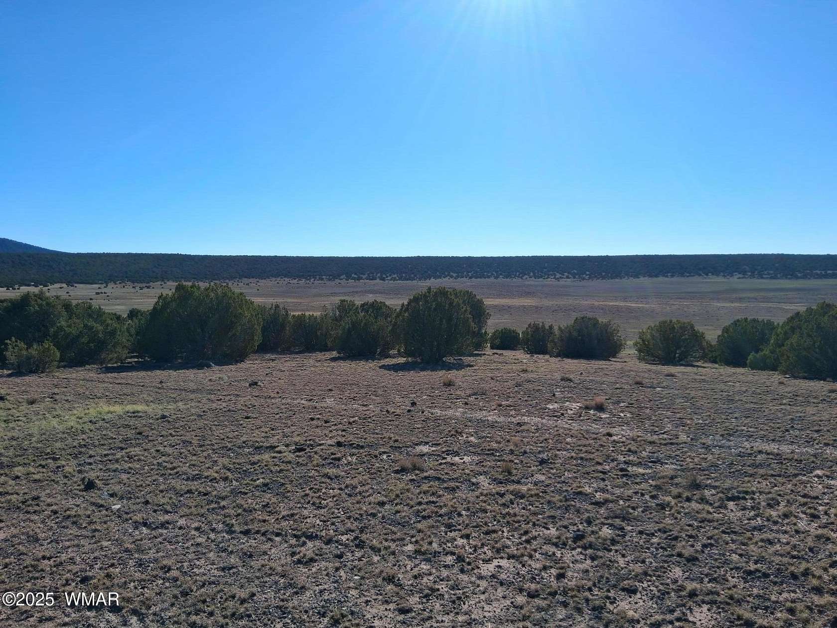 5.1 Acres of Residential Land for Sale in Concho, Arizona