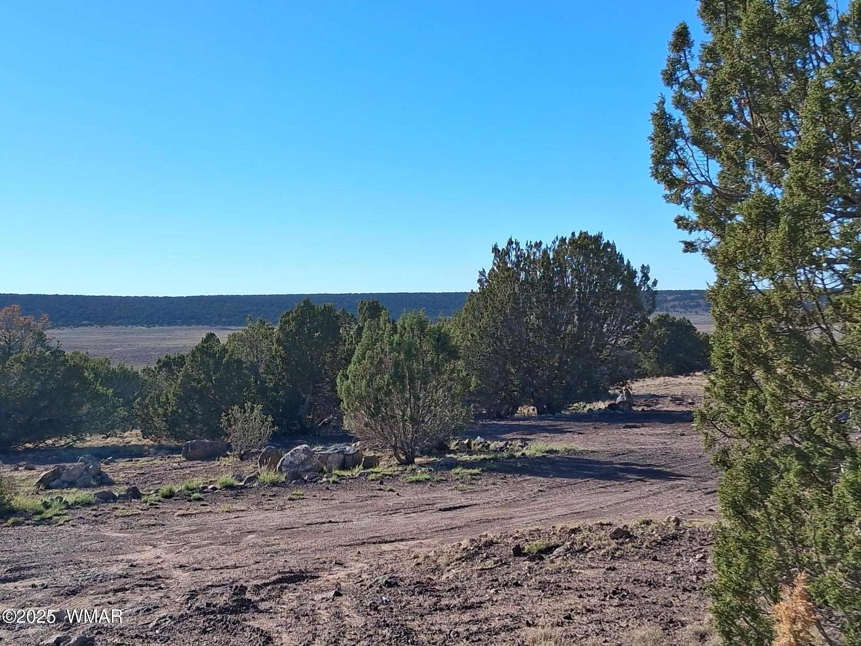 5.1 Acres of Residential Land for Sale in Concho, Arizona
