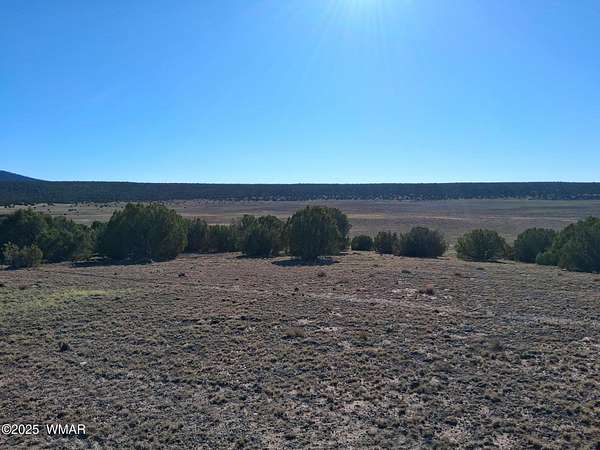 5.1 Acres of Residential Land for Sale in Concho, Arizona