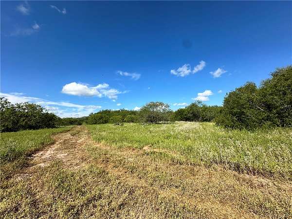67 Acres of Recreational Land for Sale in Sandia, Texas