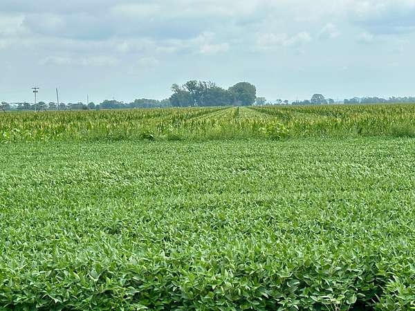 154 Acres of Agricultural Land for Auction in Onawa, Iowa