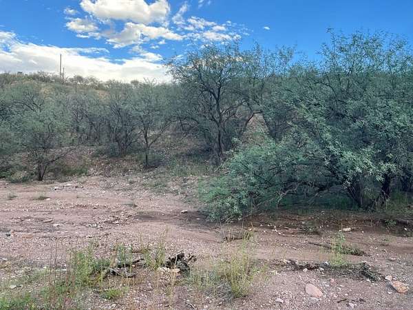 0.78 Acres of Residential Land for Auction in Rio Rico, Arizona
