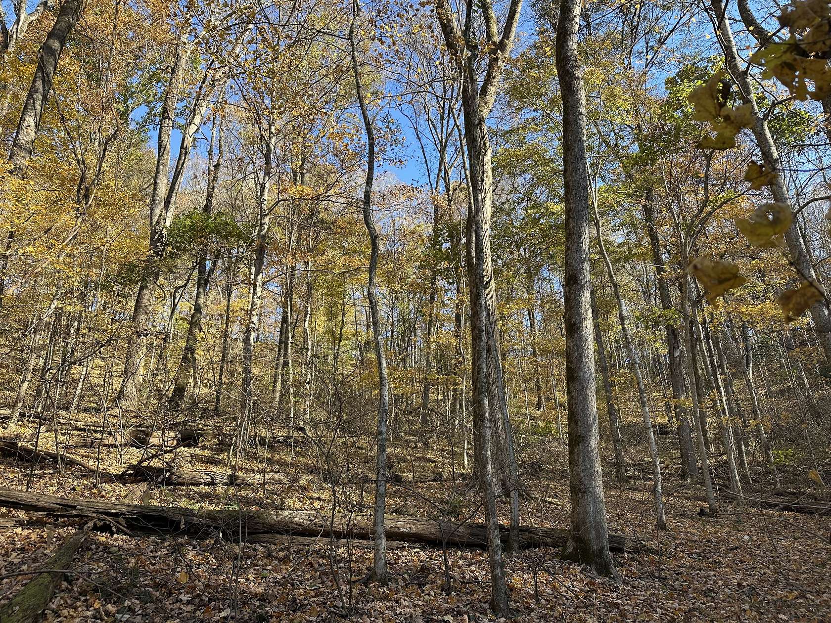 0.47 Acres of Residential Land for Sale in Smithville, Tennessee