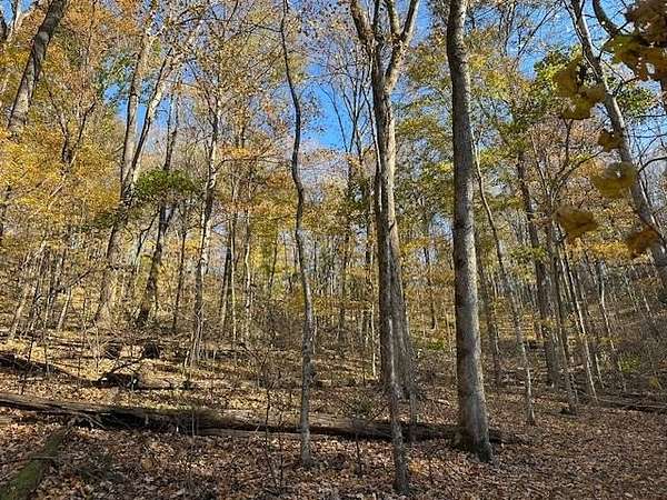 0.47 Acres of Residential Land for Sale in Smithville, Tennessee